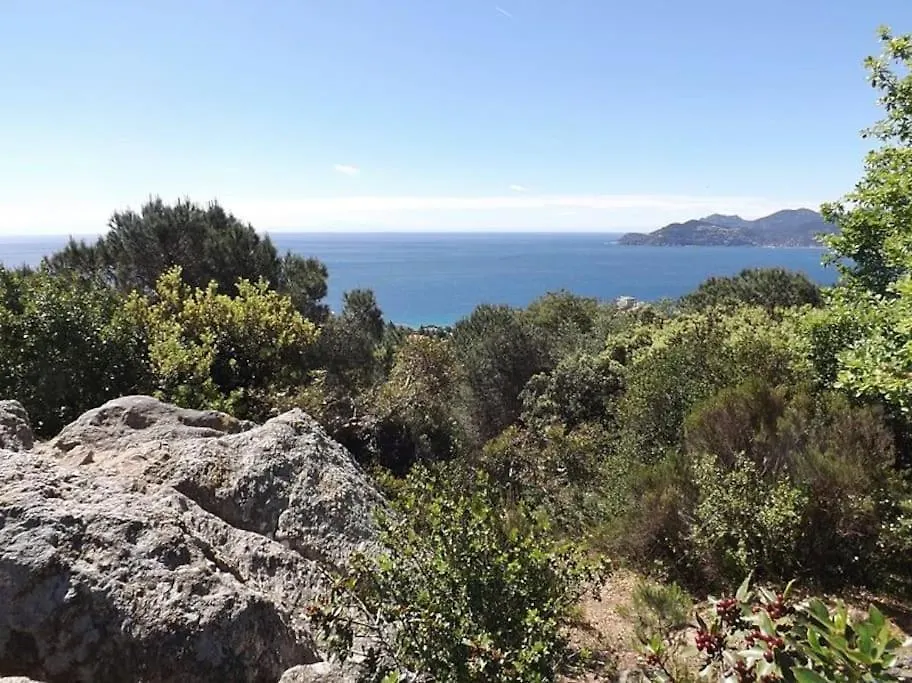 Apartment Studio Croix Des Gardes Palais Plages Cannes France